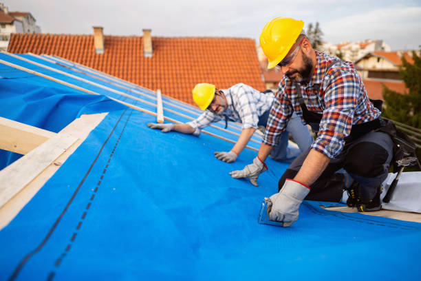 Roof Gutter Cleaning in Frankston, TX