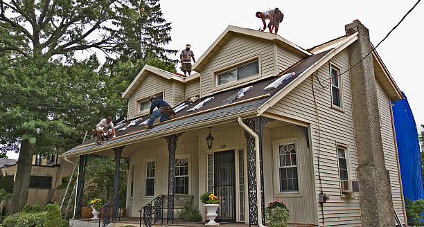 Best Gutter Installation and Roofing  in Frankston, TX